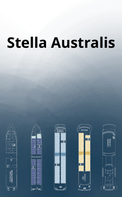 Stella Australis