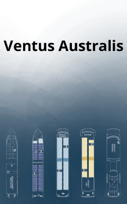 Ventus Australis